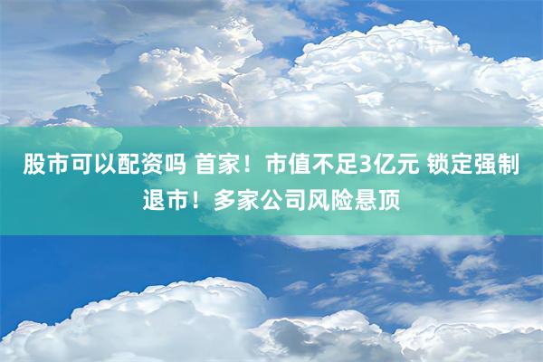 股市可以配资吗 首家！市值不足3亿元 锁定强制退市！多家公司风险悬顶