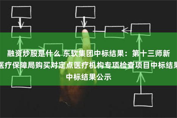 融资炒股是什么 东软集团中标结果：第十三师新星市医疗保障局购买对定点医疗机构专项检查项目中标结果公示