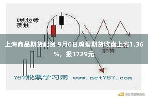 上海商品期货配资 9月6日鸡蛋期货收盘上涨1.36%，报3729元