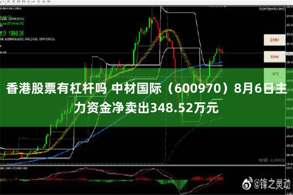 香港股票有杠杆吗 中材国际（600970）8月6日主力资金净卖出348.52万元