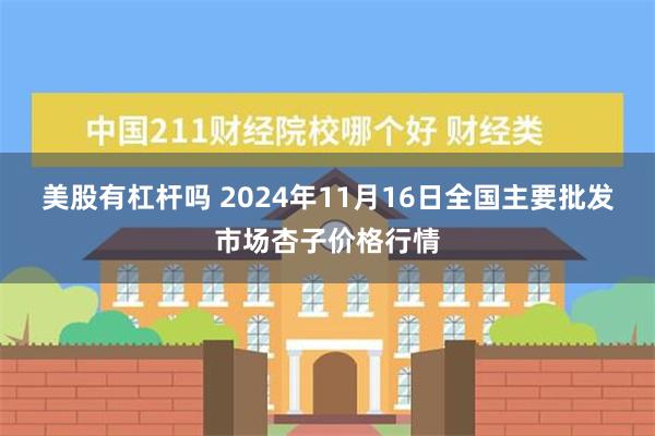 美股有杠杆吗 2024年11月16日全国主要批发市场杏子价格行情