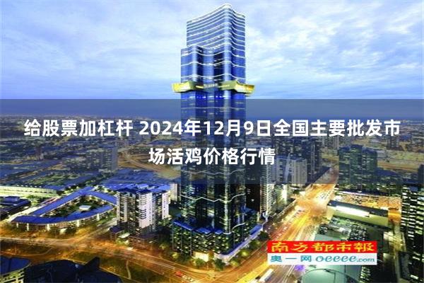 给股票加杠杆 2024年12月9日全国主要批发市场活鸡价格行情