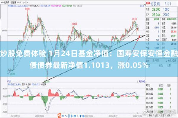 炒股免费体验 1月24日基金净值：国寿安保安恒金融债债券最新净值1.1013，涨0.05%